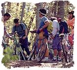 Cycling in the Auvergne